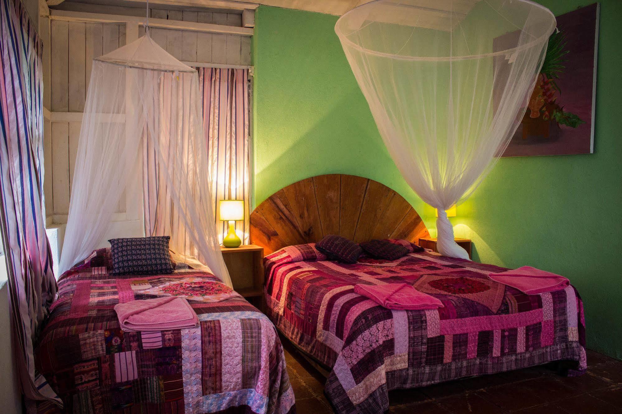 Hotel Y Restaurante La Casa Rosa Санта-Крус-ла-Лагуна Экстерьер фото