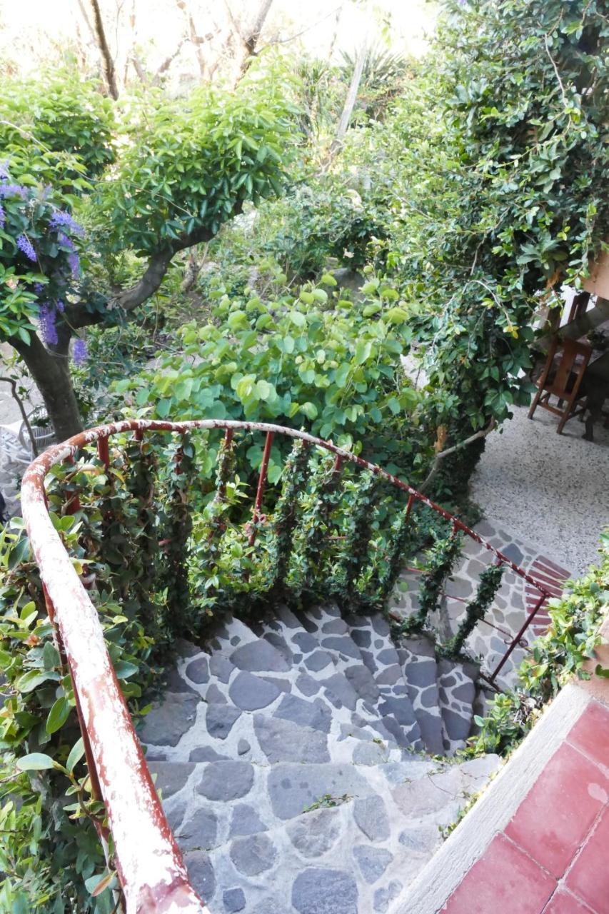 Hotel Y Restaurante La Casa Rosa Санта-Крус-ла-Лагуна Экстерьер фото